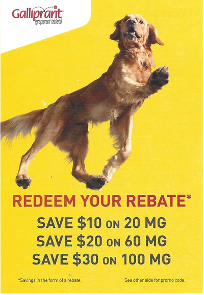 elanco-rebates-galliprant-2023-relief-for-canine-arthritis-pain
